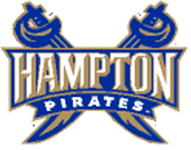 Hampton Pirates 2002-2006 Secondary Logo DIY iron on transfer (heat transfer)